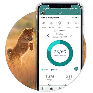 Link in app view of various built-in training tools and dog tracking function