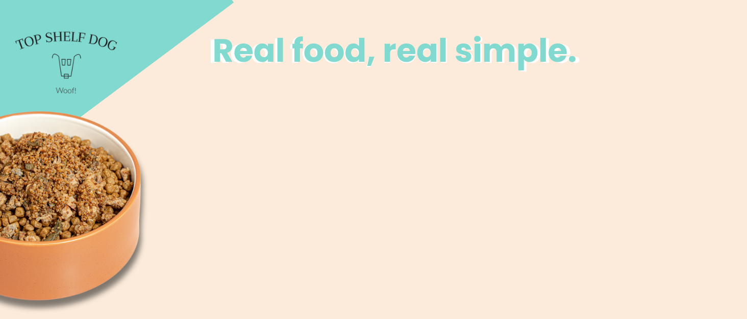 Top shelf dog with food bowl