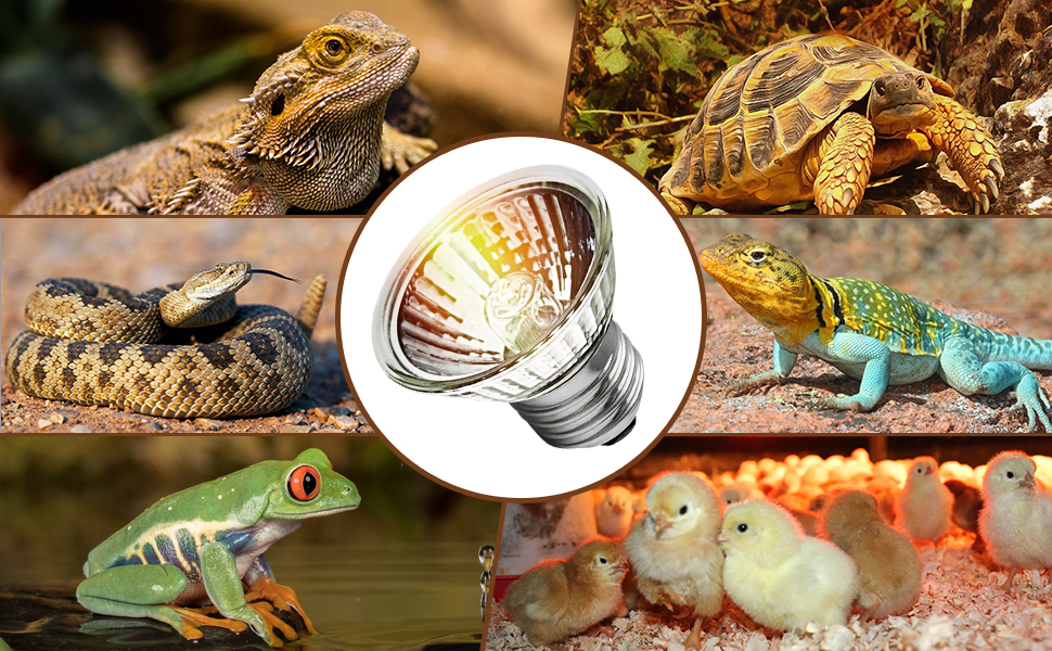 Lachesan Turtle Heat Lamp 4Pack, 50W UVA UVB Reptile Turtle Light Bulbs for