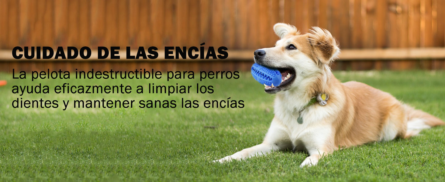 Juguetes Para Perros