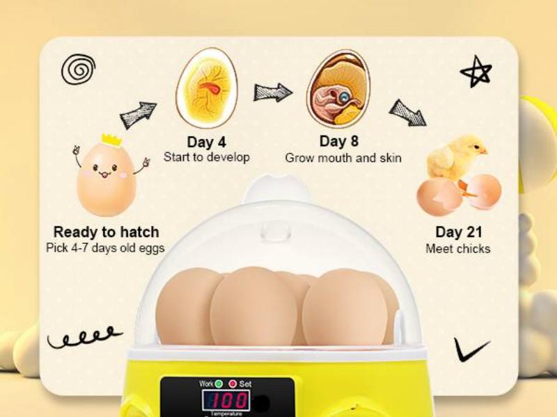 Egg Incubator for Hatching Chicken Eggs, Sailnovo Mini 7 Eggs Incubator
