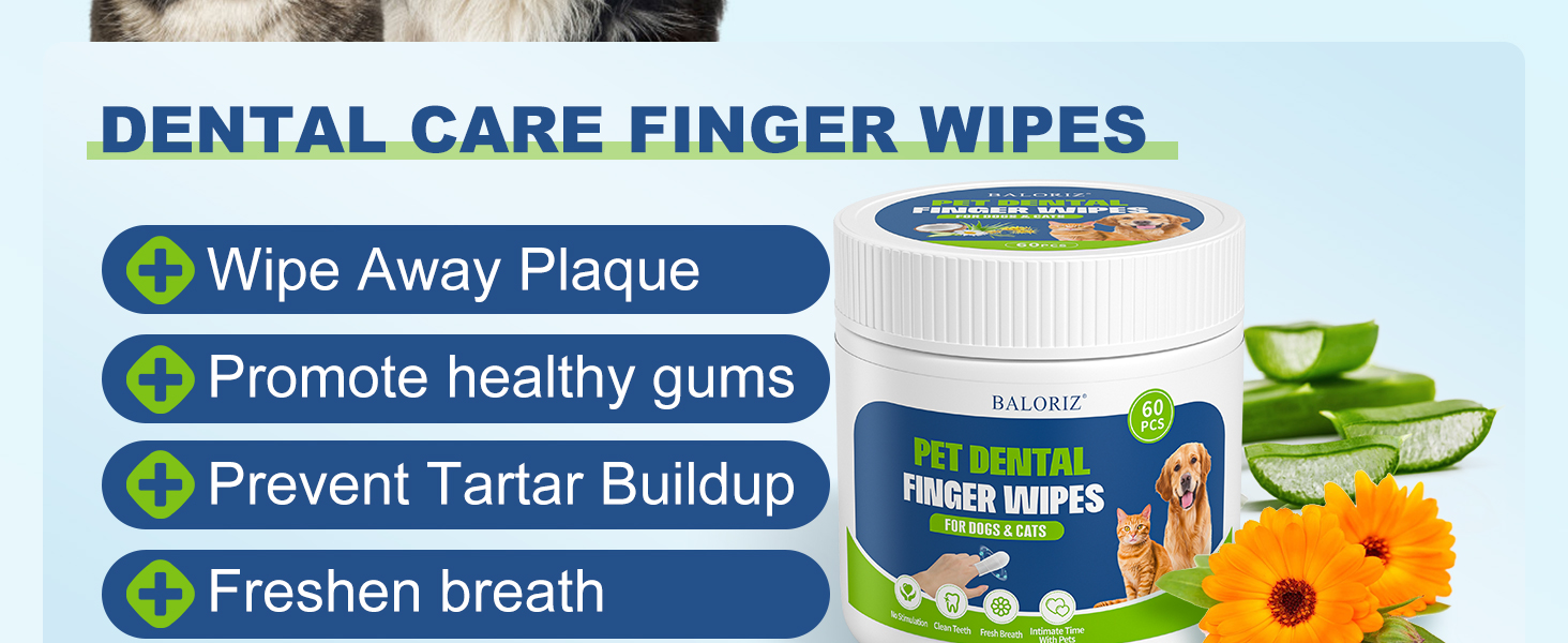 dog teeth cleaning wipes