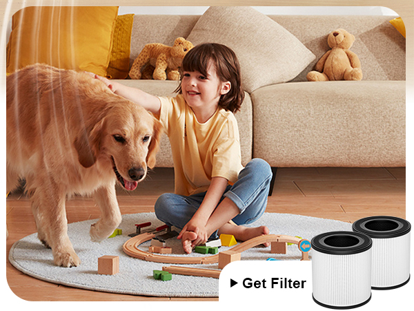 pet air purifier