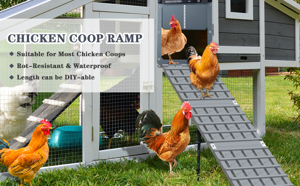 Chicken Coop Ramp, Chicken Ladder for Coop Henhouse