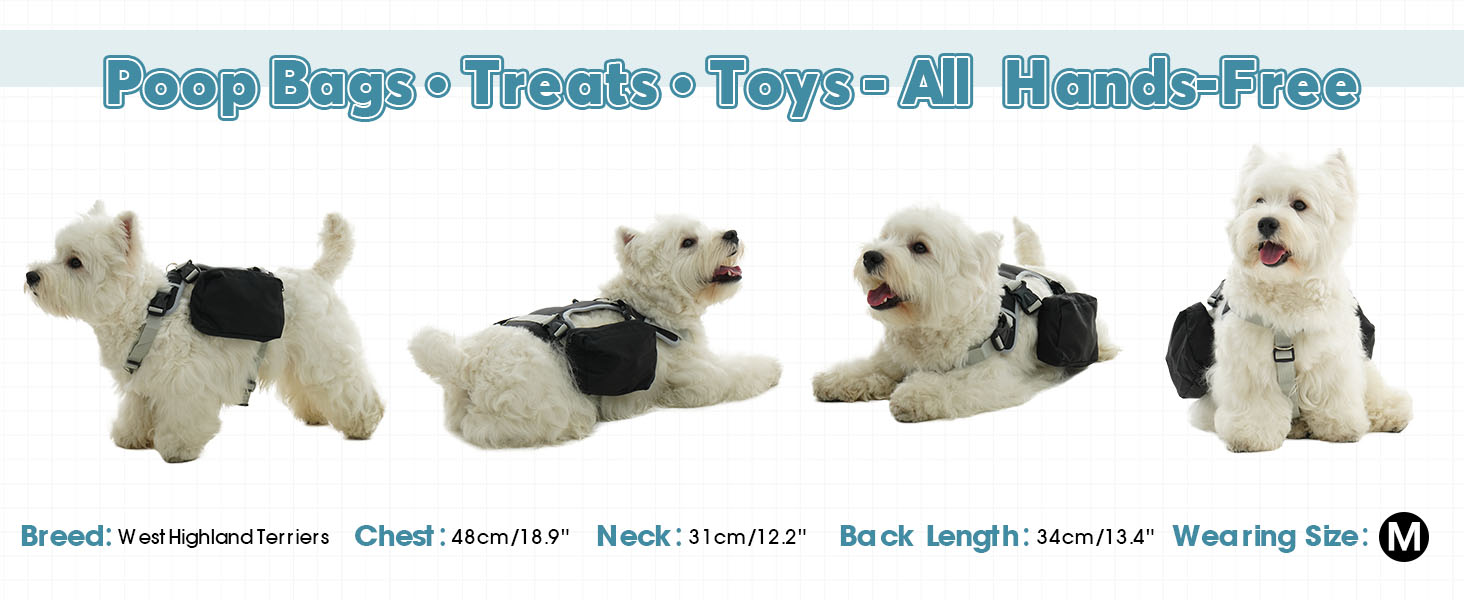 dog backpacks for hiking