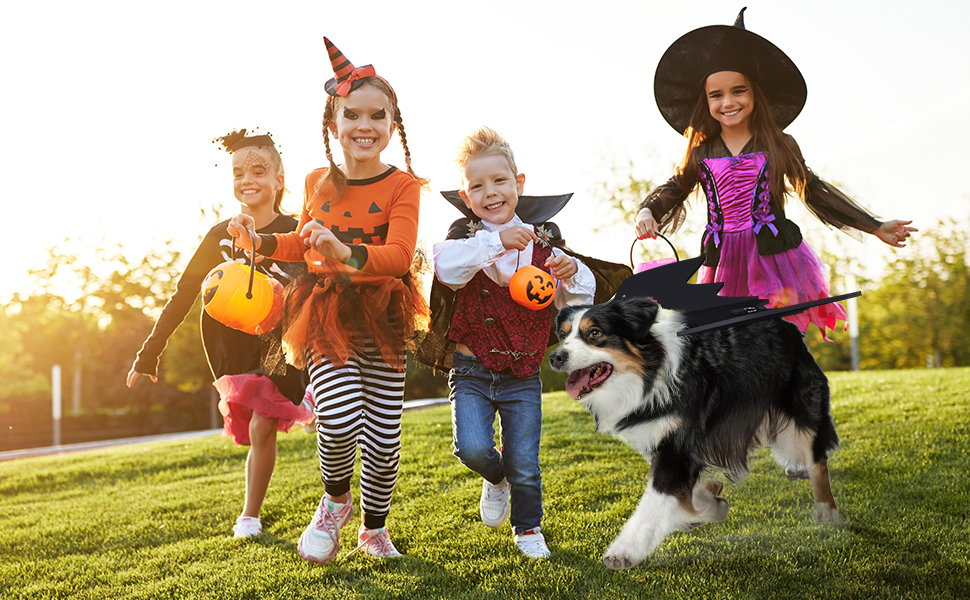 Halloween Dog Bat Wings Costume