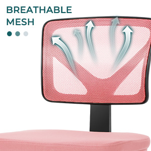 Desk Chair - Armless Mesh Office Chair. Ergonomic Computer Desk Chair