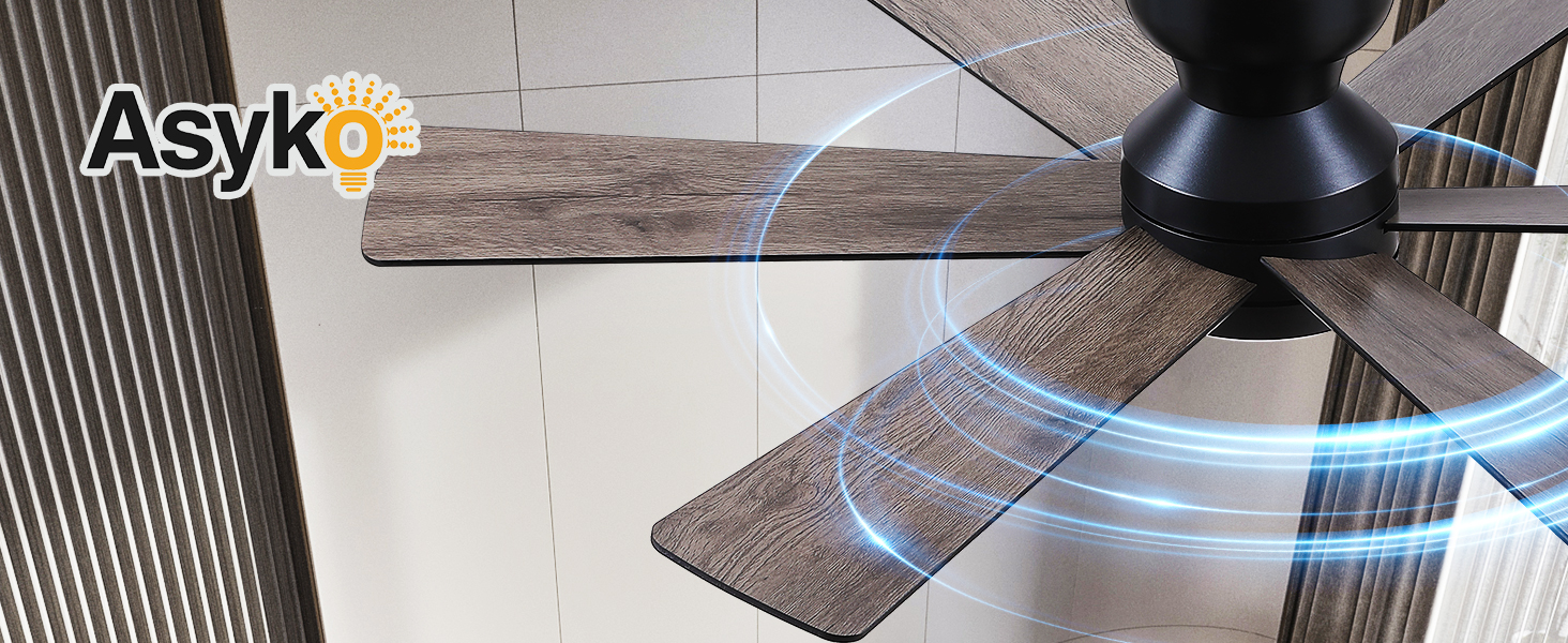 Ceiling Fans with Lights