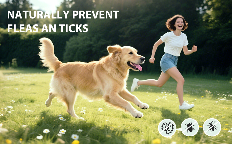 flea and tick chewables for dogs