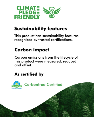 electric bike Carbonfree