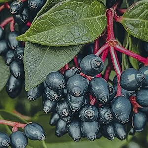 Small manufacture image 2