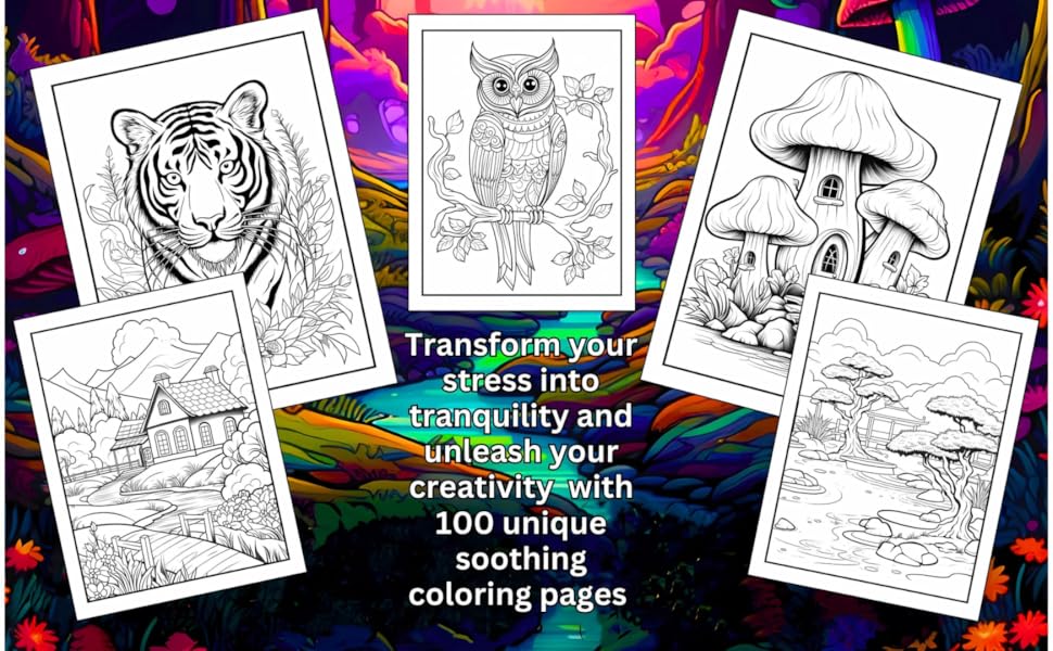 Amazon.com: Stress Relief Adult Coloring Book for Calmness and