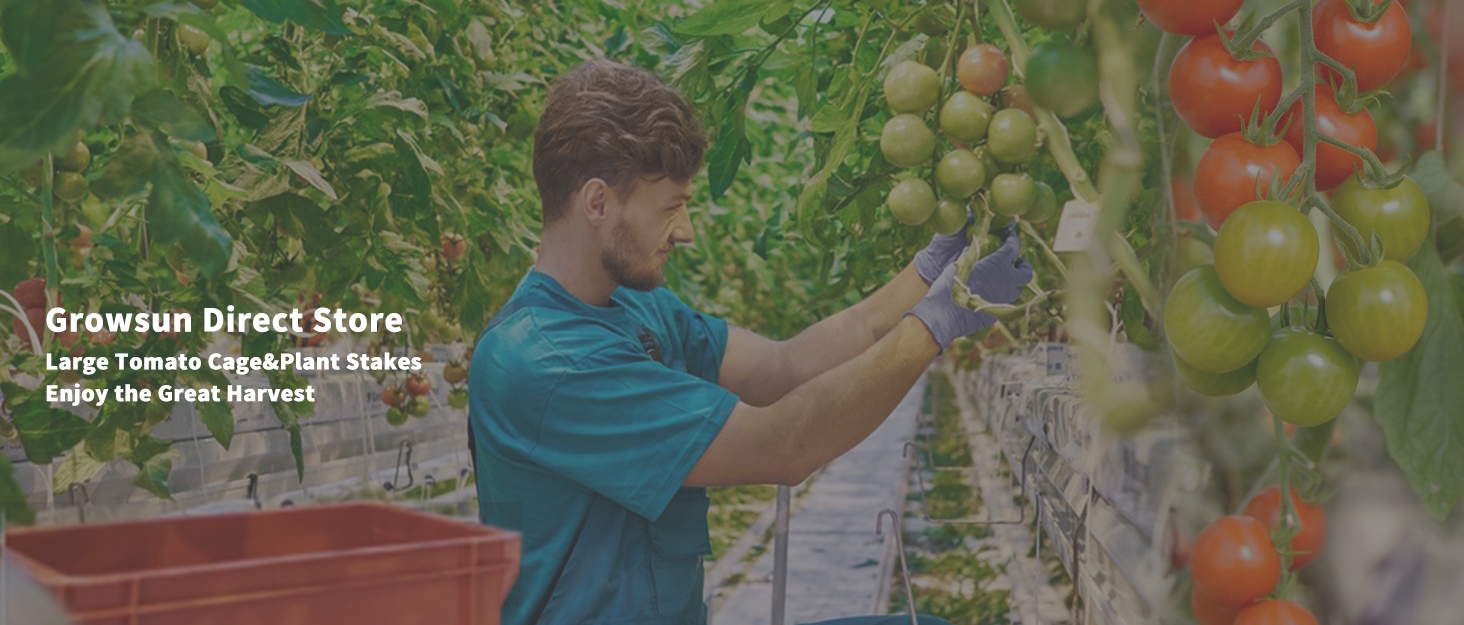 Tomato cage plant supports garden stakes