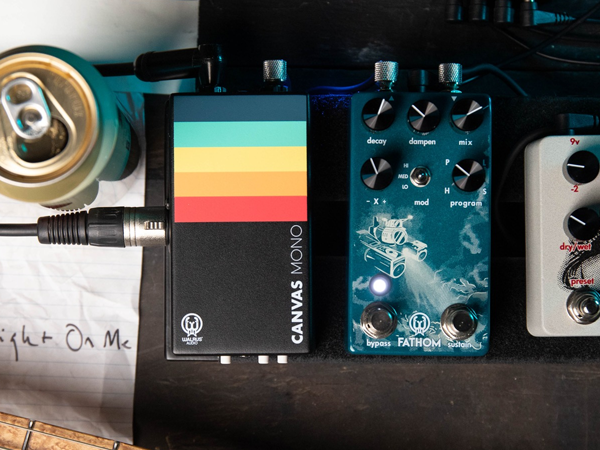WALRUS AUDIO CANVAS MONO ダイレクトボックス Canvas Line Isolator / D.I.