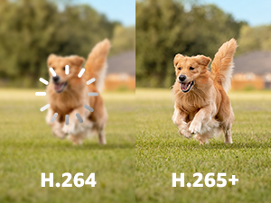 wired security cameras