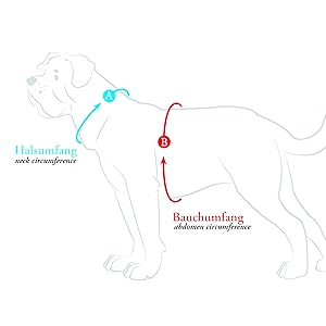 Messung von Anweisungen für Gurte, Gurtanweisungen, Halsumfang, Taillenumfang nur Hund ohne Text