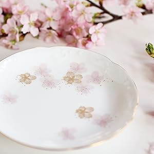 新品⭐︎帖佐美行⭐︎大宝双鶴⭐︎銘々皿　５枚セット 赤)つるいちご舟型銘々皿 しん窯青花匠