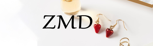  Hanging Jewelry Organizer