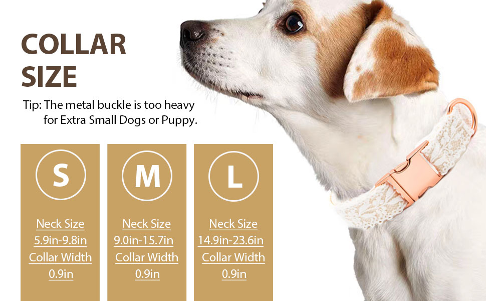 Lace Dog Collar and Leash Set