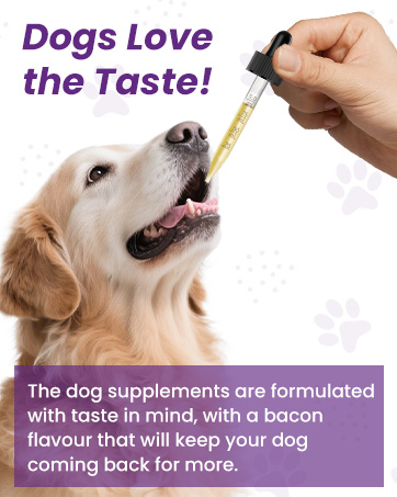 puppy sleep aid dog melatonin for medium dogs sleeping pills for dogs puppy sleeping aid