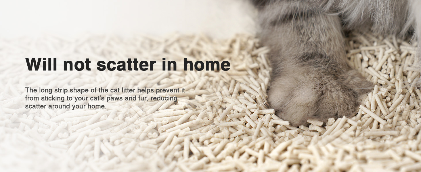 cat tofu litter