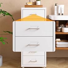 vanity storage