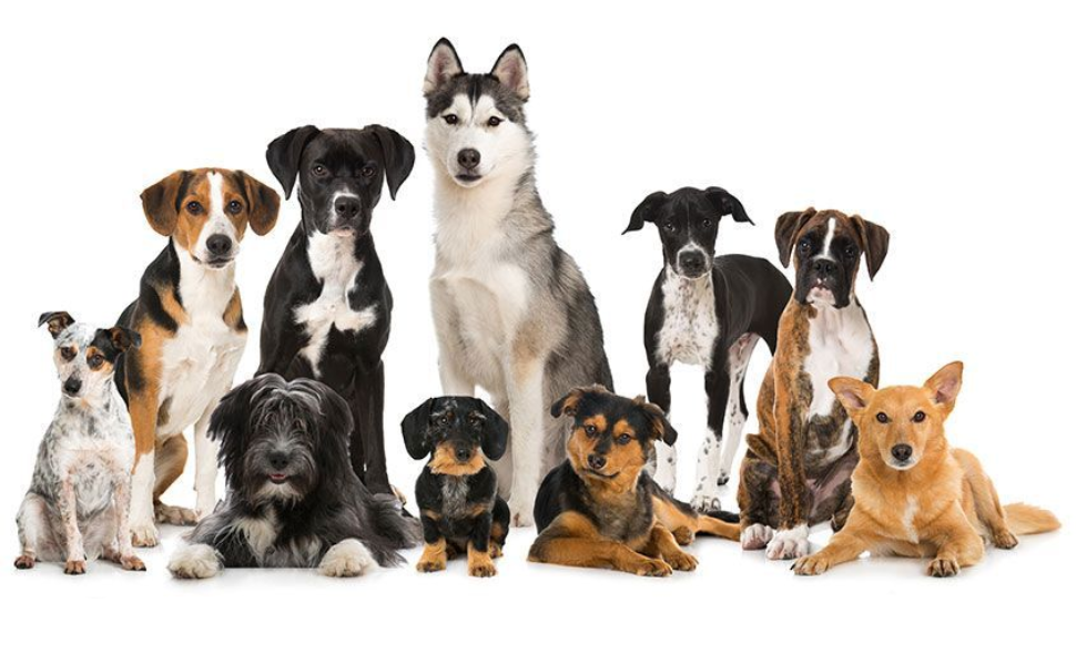 Large manufacture image 6