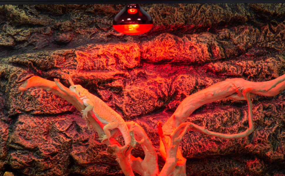reptile heat lamp bulb