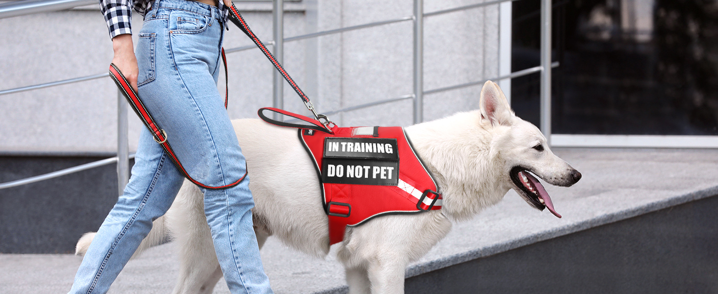 Large manufacture image 3