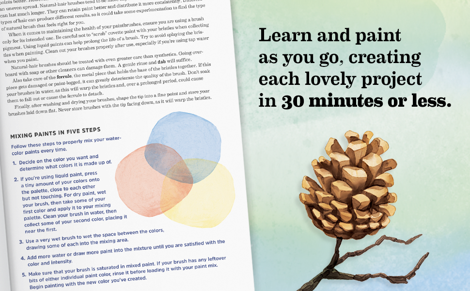 30-Minute Watercolor Painting for Beginners, Book by Rockridge Press, Official Publisher Page