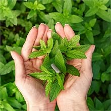 Small manufacture image 5