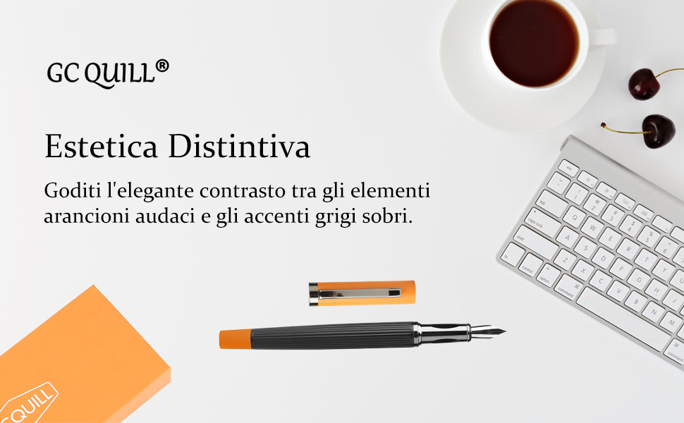 Set penna stilografica - Pennino fine