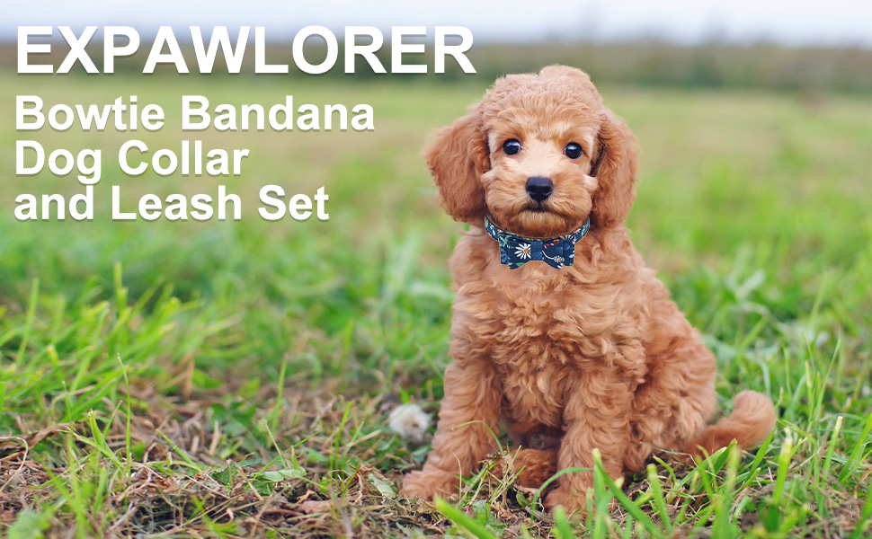 EXPAWLORER Dog Collar and Leash Set Classic Plaid Dog