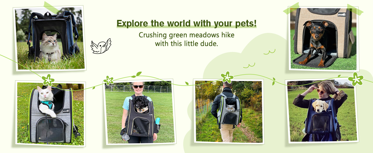 cat carrier backpack