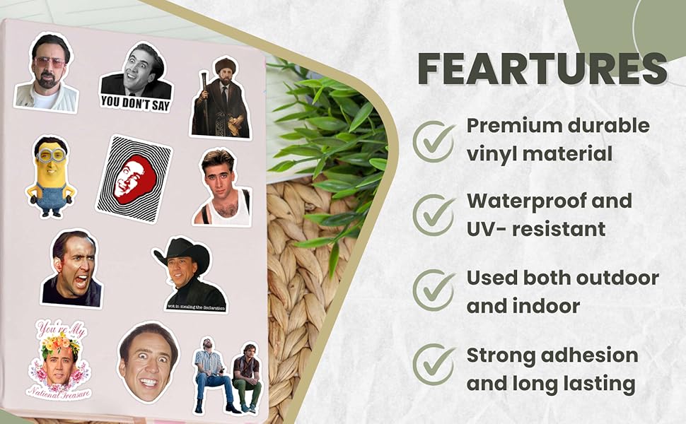 nicolas cage stickers
