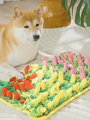 Guide the dog to find food