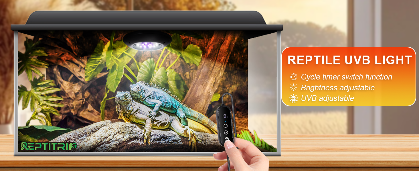 uvb light for reptiles