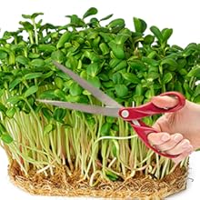 Microgreen Mats