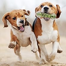 歯磨きボール2 迷彩グリーン