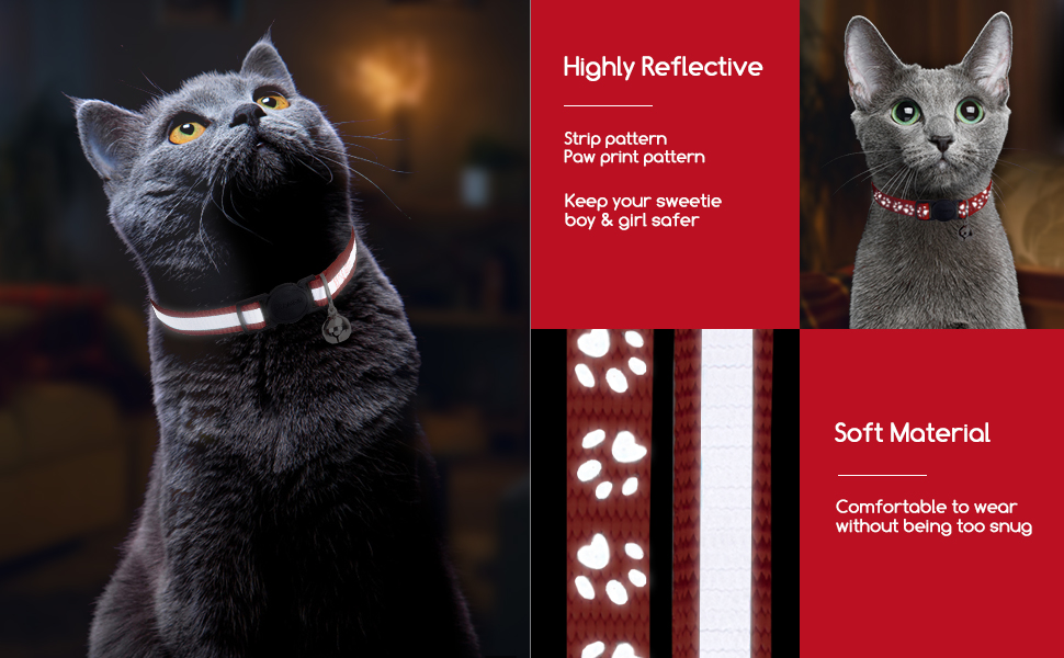 2 pack cat collars