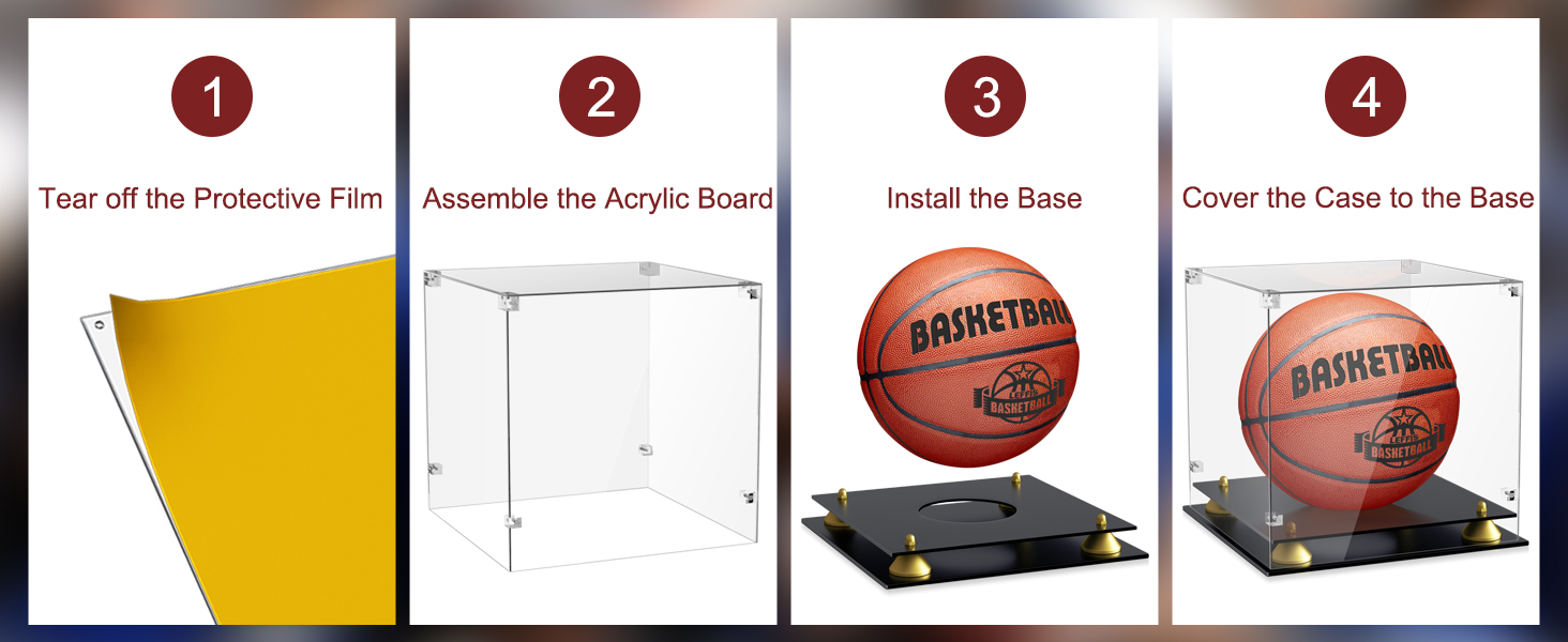 Basketball Display Case