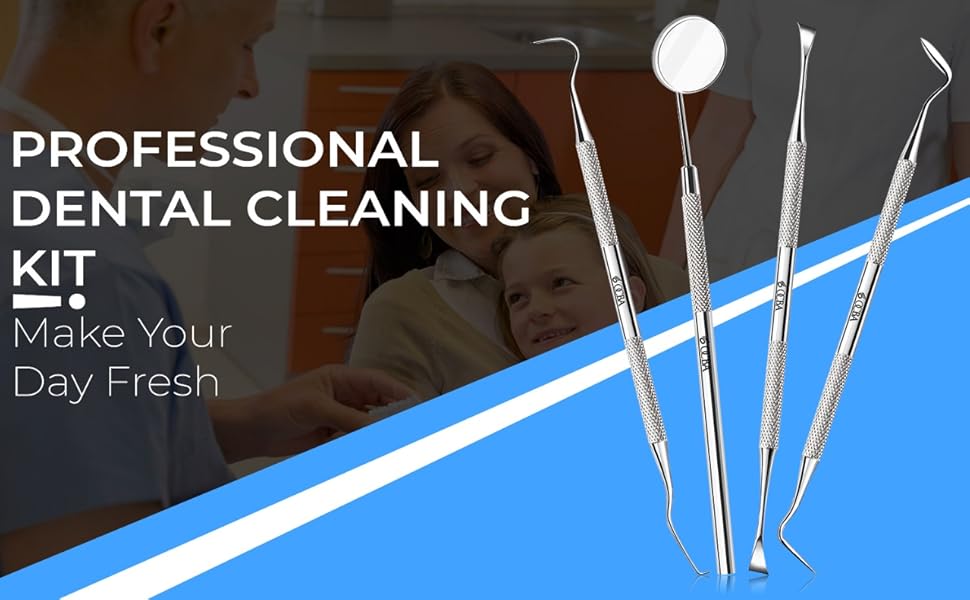 Dental Pick Tools 4 Pcs Plaque Tartar Remover Stainless Steel Dental Teeth Whitening Cleaning