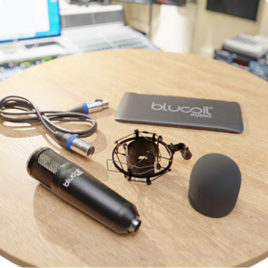 Blucoil Cardioid Condenser Studio XLR Microphone for Acoustic Guitars, Woodwind, Vocals