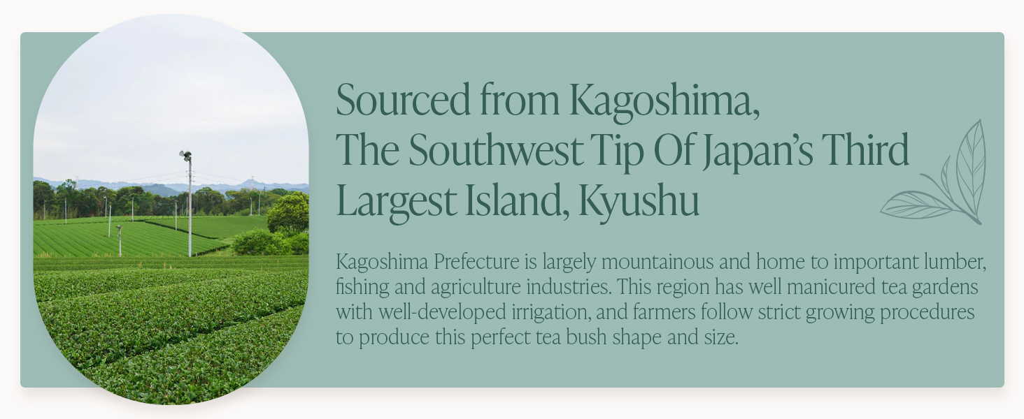 matcha super green japanese sencha loose leaf tea bags tea sampler gift set box 