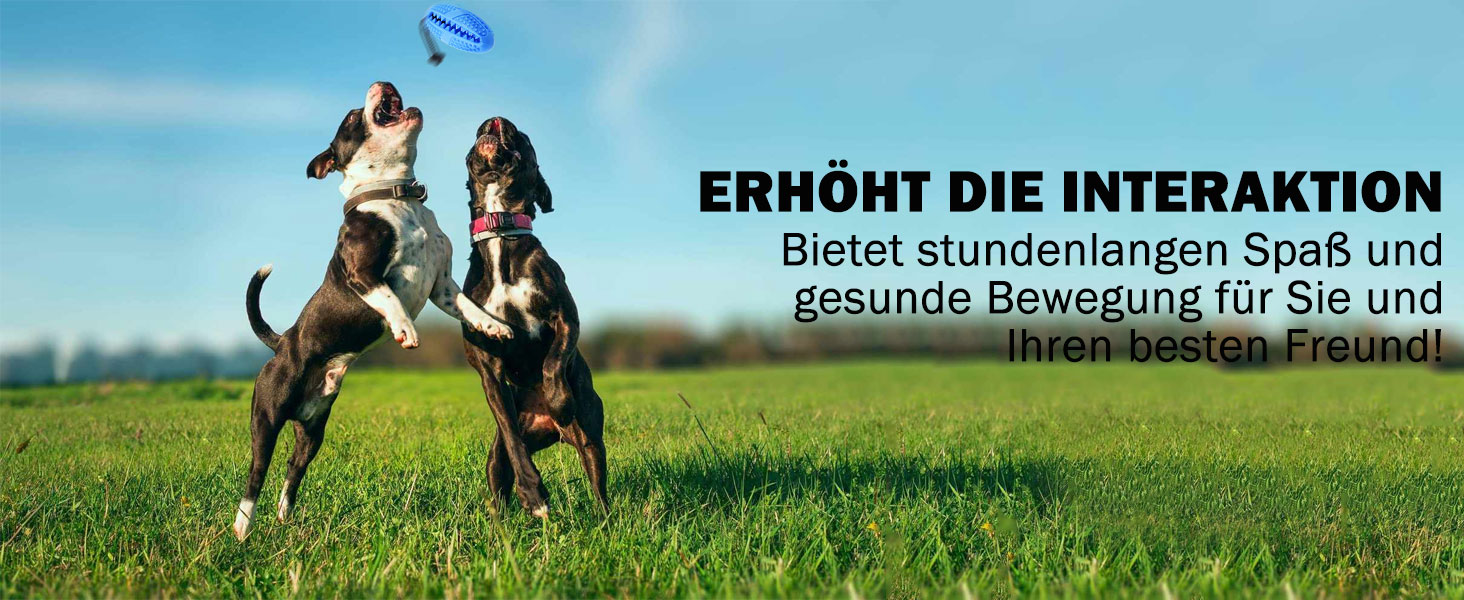 Kauspielzeug für Hunde