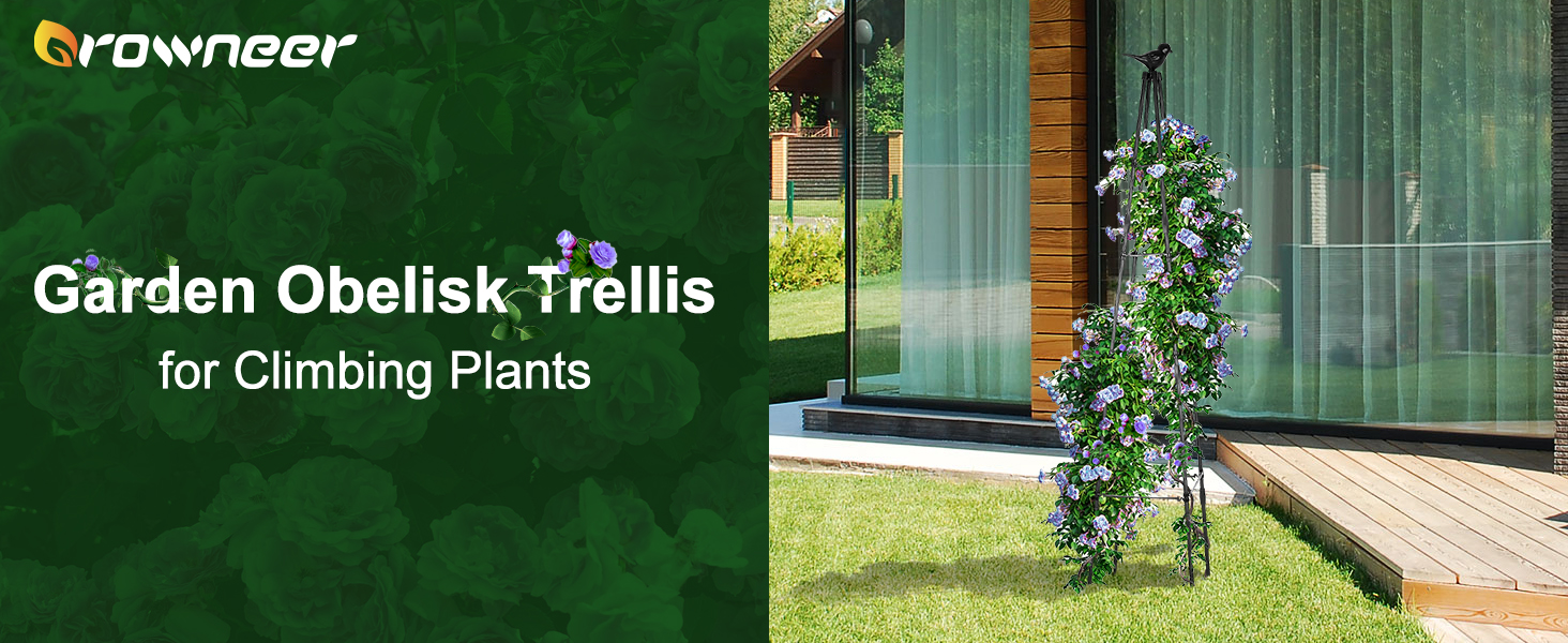 trellis for climbing plants
