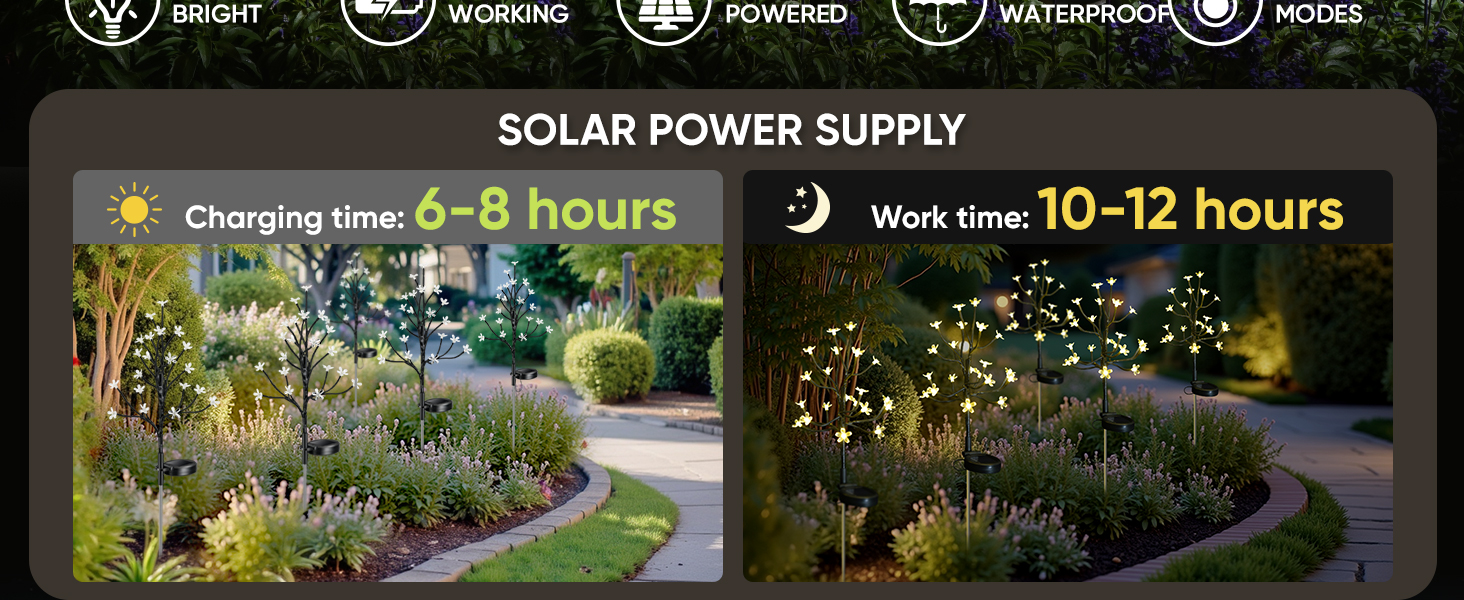 solar lights outdoor