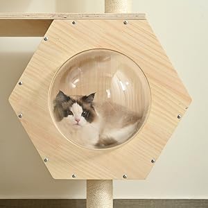 OSJ キャットタワー パイプ ペット用品 頑丈 据え置き マット付き Amazon | OSJ キャットタワー ネコタワー パイプ ペット用品