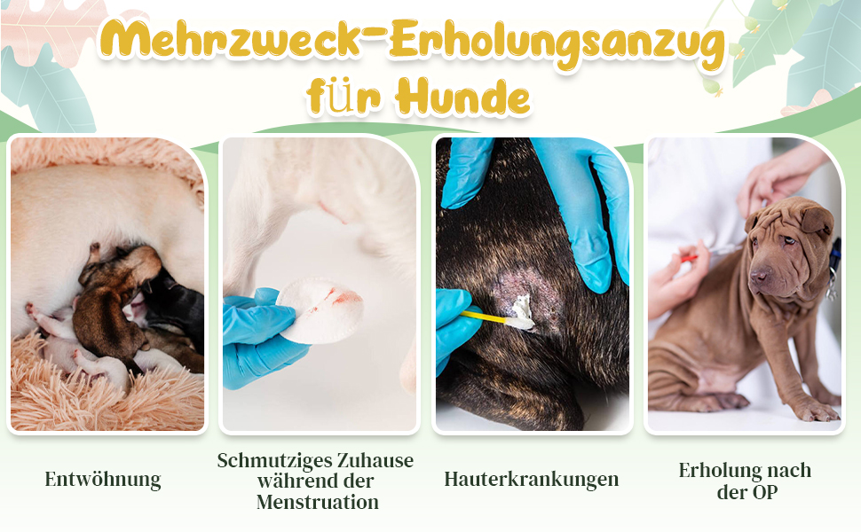 Hjumarayan Dog Body After Op Castration Wound Protection Suits for Dogs