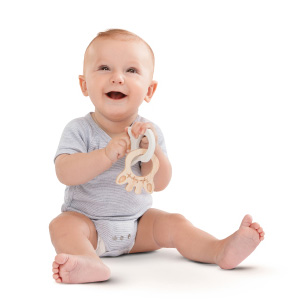 歯、赤ちゃん、おもちゃ、リング、100%天然ゴム、100%天然ゴムの木材、ベビー用品、ソフィーガイラフ、ベビーギフト、ギフト